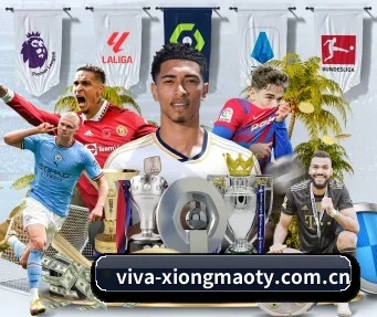 viva-xiongmaoty.com.cn APP